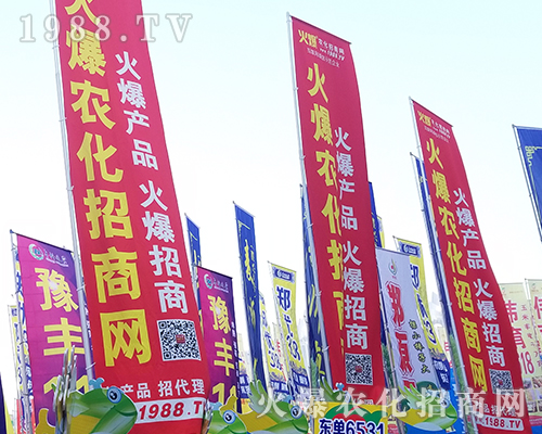     �ڶ�ʮһ�������r(n��ng)ˎ���������r(n��ng)���W(w��ng)ȫ���������̹���