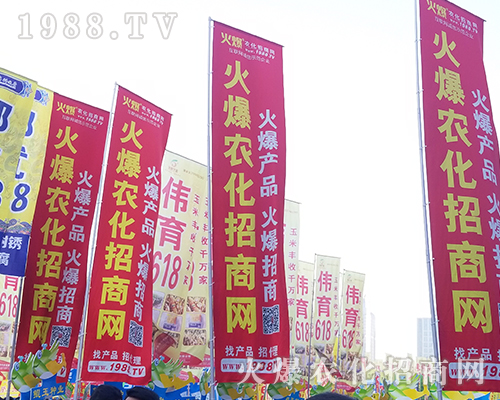 2018���������r(n��ng)ˎ��(hu��)��1988.TV����(zh��ng)***��