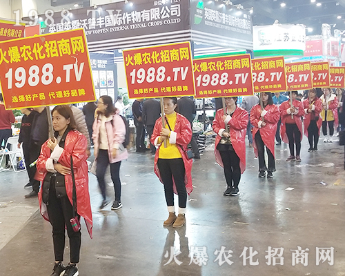     2018�����r(n��ng)ˎ�������r(n��ng)���W(w��ng)׌�fǧ�S�̳ɹ��_��(chu��ng)δ��