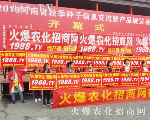     �ڶ�ʮһ�ú����r(n��ng)ˎ�����r(n��ng)���˰���ͦ��