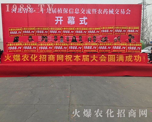 2018�ӱ�ֲ�����ϻ��r(n��ng)���W(w��ng)��Ӣ�ɳ�������(zh��n)����