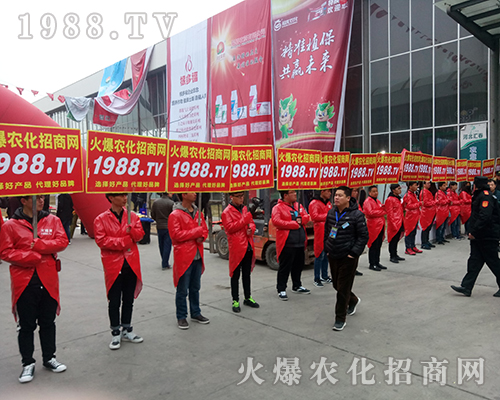 Ҫ�������ң�1988.TV�ذ�����2018�ӱ�ֲ������