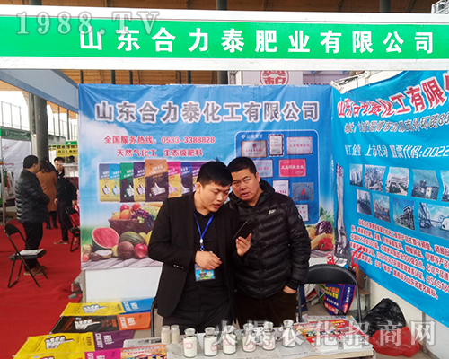 ɽ�|����̩�ڵڶ�ʮ�Ōúӱ�ֲ����(hu��)��¶�^��