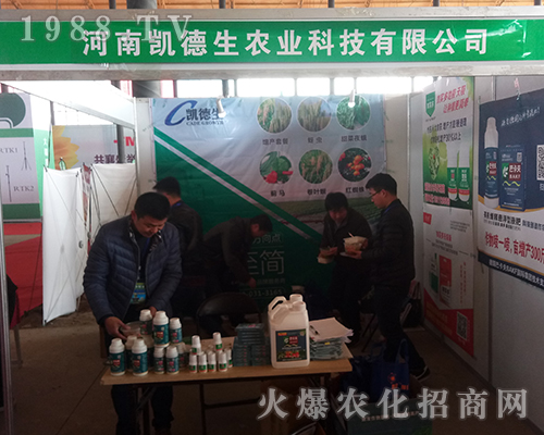 �P���r�I(y��)�ڵ�29�úӱ�ֲ���������ƻ�