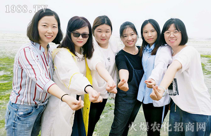 ���յĺ��L����ɢ�@�ן�