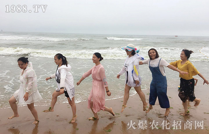 ���յĺ��L����ɢ�@�ן�