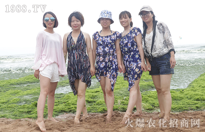 ���S���� ���ɹ�