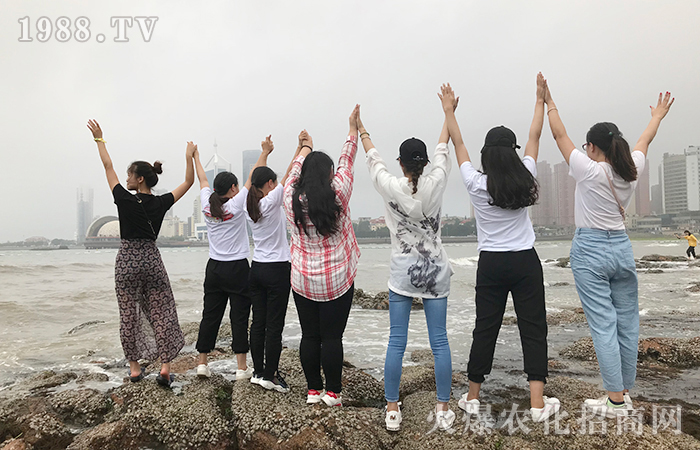 �������u����֮����Ʒ�x��(j��ng)��vʷ�Ļ����裡