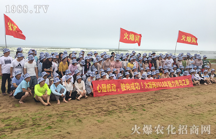 �t�u�G�����̺��{(l��n)��  ��pick�˴��P(gu��n)