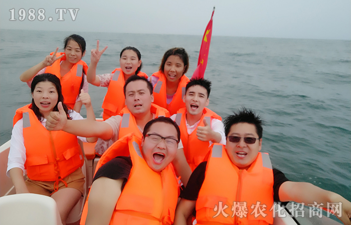 �泯������ů���_