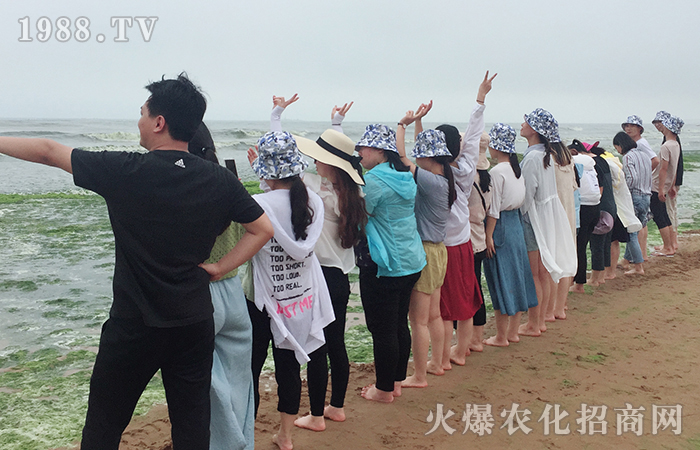 ε�{(l��n)�������������u