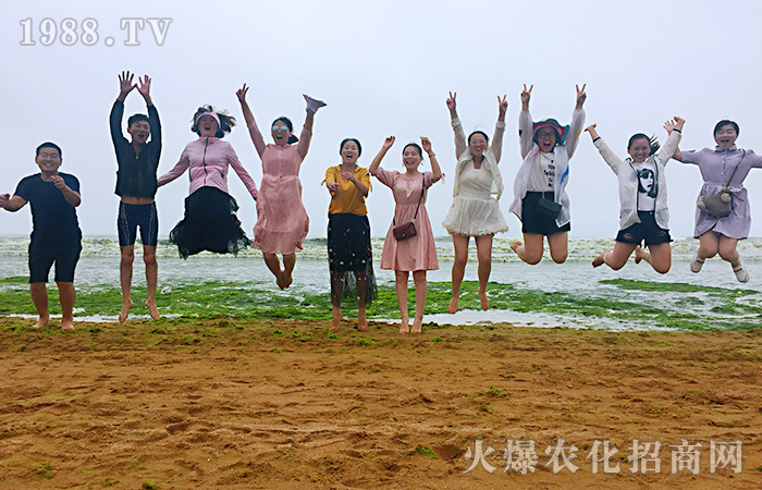 ���u���и���ͳ��L(zh��ng)