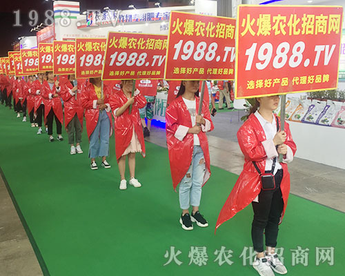 2018�����r(n��ng)�Y����1988.TV�����������ݲ��ɓ�