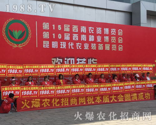 �o̎�����r(n��ng)���W(w��ng)���M�۱M�ǻ𱬼t��