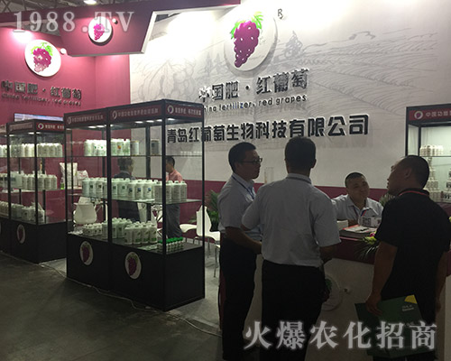 ���u�t�����ذ����u��ʮ��������r(n��ng)�Y���[��(hu��)