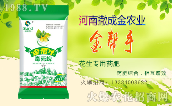 �����ɽ��r(n��ng)�I(y��)��ף������µ�һ���������³�������������