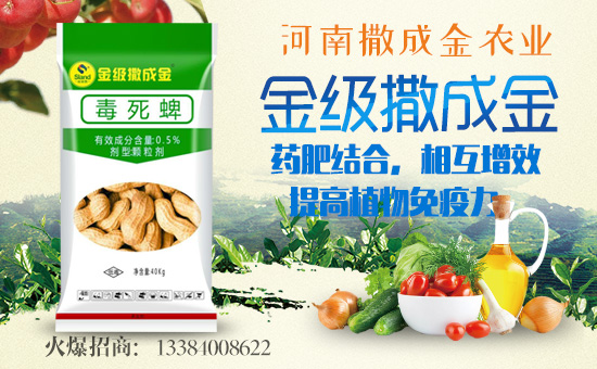 �����ɽ��r(n��ng)�I(y��)��ף������µ�һ���������³�������������