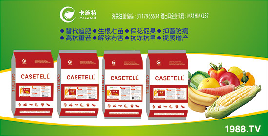 ����ɫ�п�ʩ�ء�ף��ҡ��¡����o(w��)��������������¡���s��