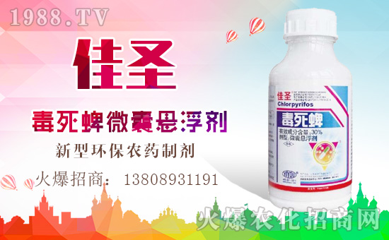 ���|���r(n��ng)�I(y��)��ף������µ�һ���﹤�����������������