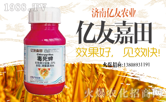 ���|���r(n��ng)�I(y��)��ף������µ�һ���﹤�����������������