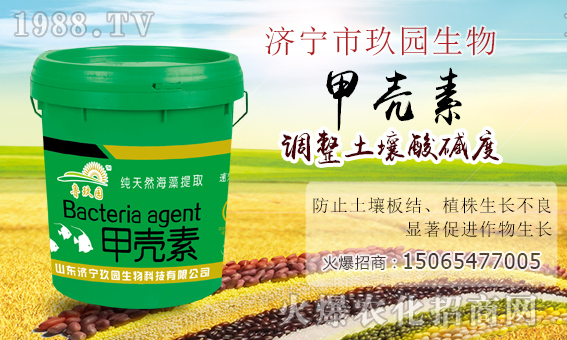 �����@�����ף����´��옷���Ҹ�������