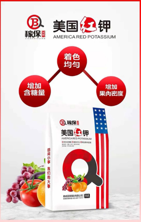 ��Ų���{(l��n)����ףȫ�����ѹ������������������