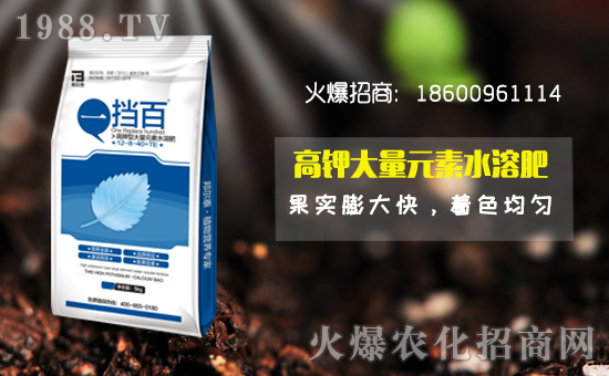 ���̩����ףȫ�������f�´����ϼҚg����