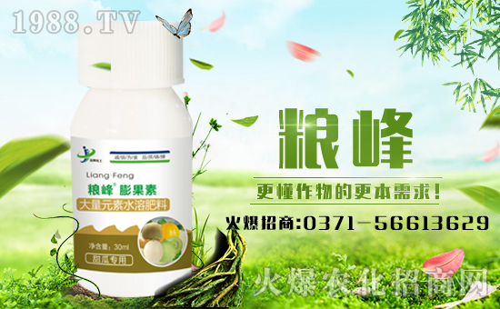 �����ƻ�����ףȫ�������µ�һ����ؔԴ�L�L����