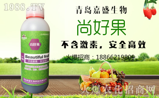     ����ʢ���ף������µ�һ�������d¡��ؔ(c��i)Դ�V�M(j��n)��