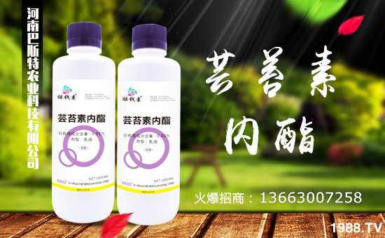 �����ϰ�˹�ء�ף���2018��������\�������ո�������