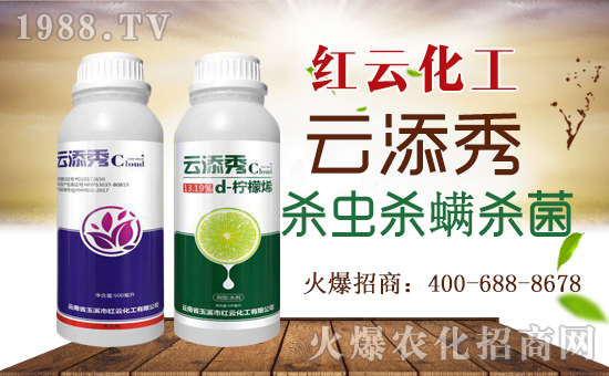 ���t�ƻ�����ף���ٸ��R�T�����������������´���