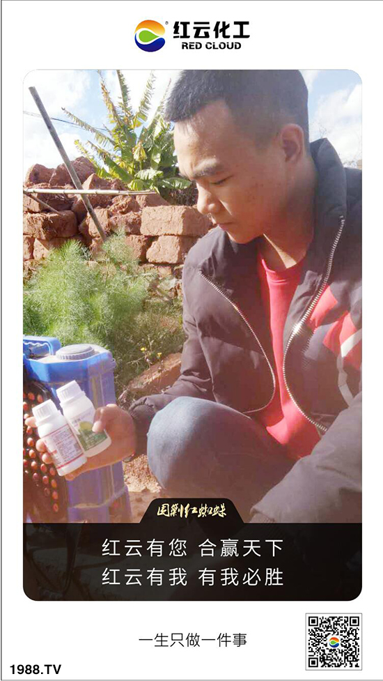 ���t�ƻ�����ף���ٸ��R�T�����������������´���