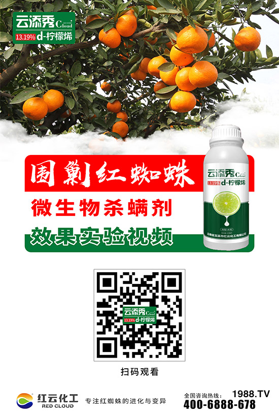 ���t�ƻ�����ף���ٸ��R�T�����������������´���