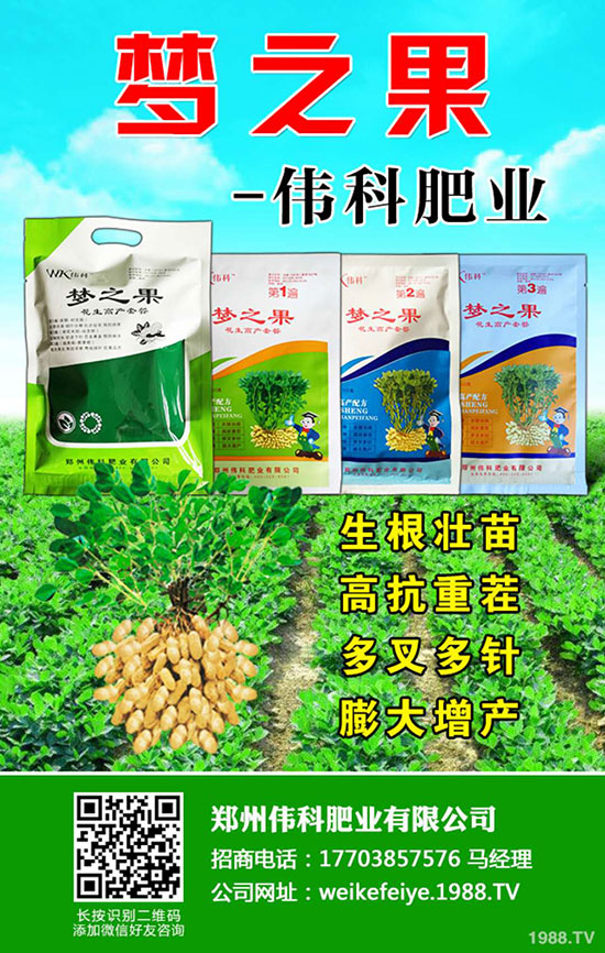     �����ƷʘI(y��)��ףȫ��(gu��)�r(n��ng)�Y��ʿ��ϲ�l(f��)ؔ(c��i)������옷(l��)��