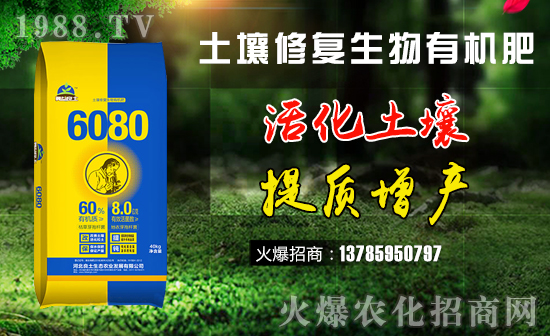     �����ޏ������ЙC��-6080-��������