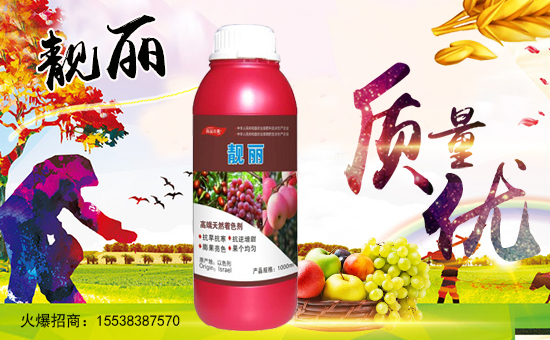 �����ϼ�������ף��Қg�gϲϲӭ���꣬�_�_�����^������