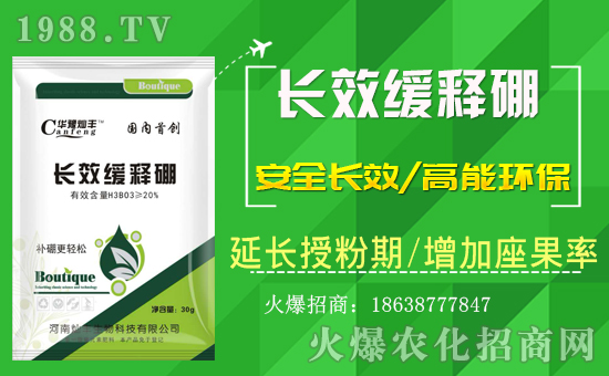 �����ϠN�S�����ףȫ����(j��ng)�N�������i������Ҹ����M��