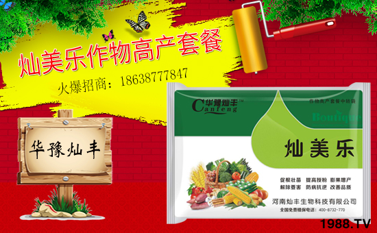 �����ϠN�S�����ףȫ����(j��ng)�N�������i��󼪣��Ҹ����M��