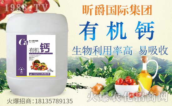 ��꿾��(gu��)�H��ףȫ��(gu��)�������w�������f(w��n)��������