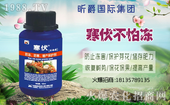 ��꿾��(gu��)�H��ףȫ��(gu��)�������w�������f(w��n)�����⣡