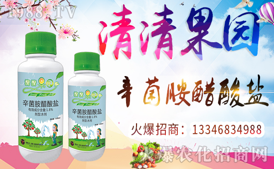 ����������ף������µ�һ�����Ҹ����M���H�Қg����