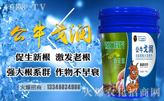 ����������ף������µ�һ�����Ҹ����M���H�Қg����