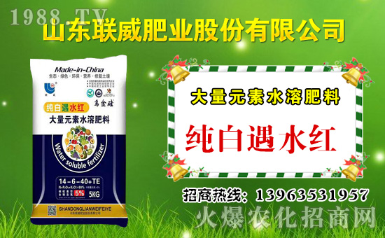 ��(li��n)���ʘI(y��)��ף������µ�һ���﹤�����������������