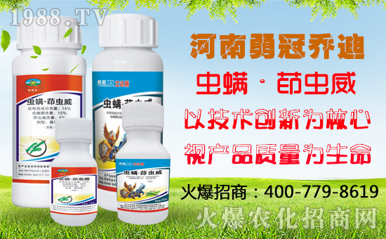 ���¹چ̵ϡ�ף������옷��ؔ(c��i)�\(y��n)��ͨ��