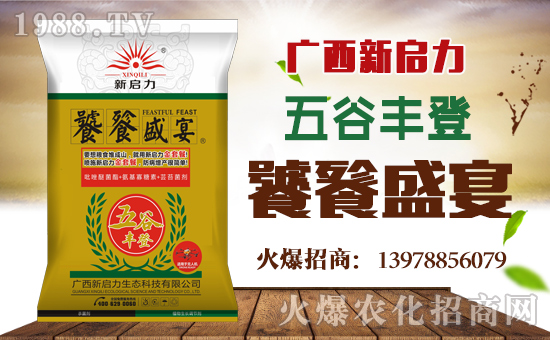     ���V��������ף������µ�һ�������w�������f��������