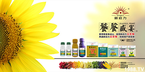     ���V��������ף������µ�һ�������w�������f��������