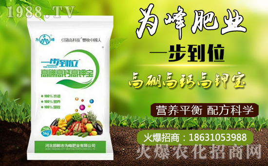 【為峰肥業(yè)】祝全國朋友在新的一年里幸福美滿,闔家歡樂!