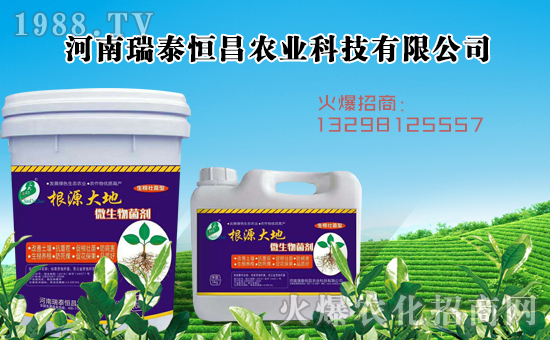     ����̩�����ȫ�w�T����ףȫ��(gu��)��(j��ng)�N�����w�������i�꼪����