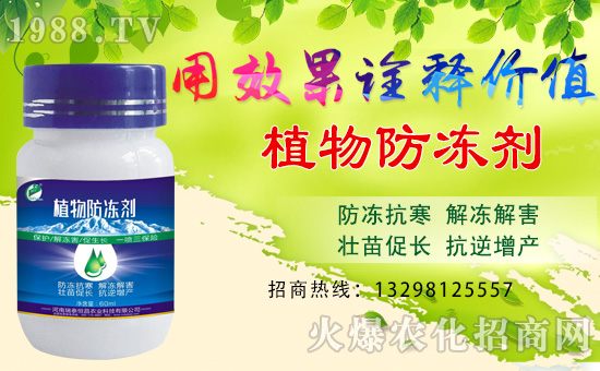     ����̩�����ȫ�w�T����ףȫ��(gu��)��(j��ng)�N�����w�������i�꼪����