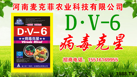 �����˷��r(n��ng)�I(y��)��ףȫ����(j��ng)�N�����w�������f��������